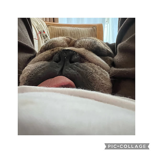 chi_gogaさんの実例写真