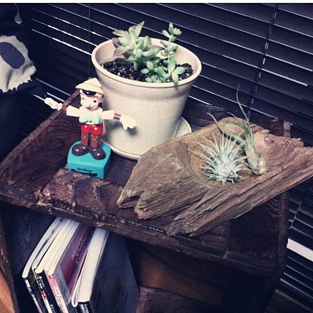 interior_yuさんの実例写真