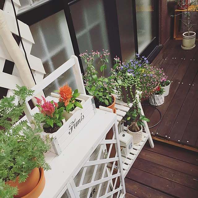 moryさんの実例写真