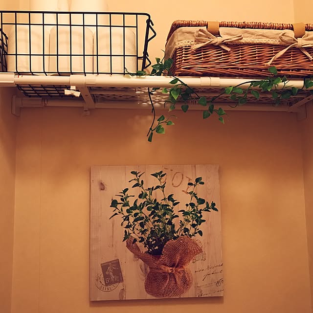Mihaさんの実例写真