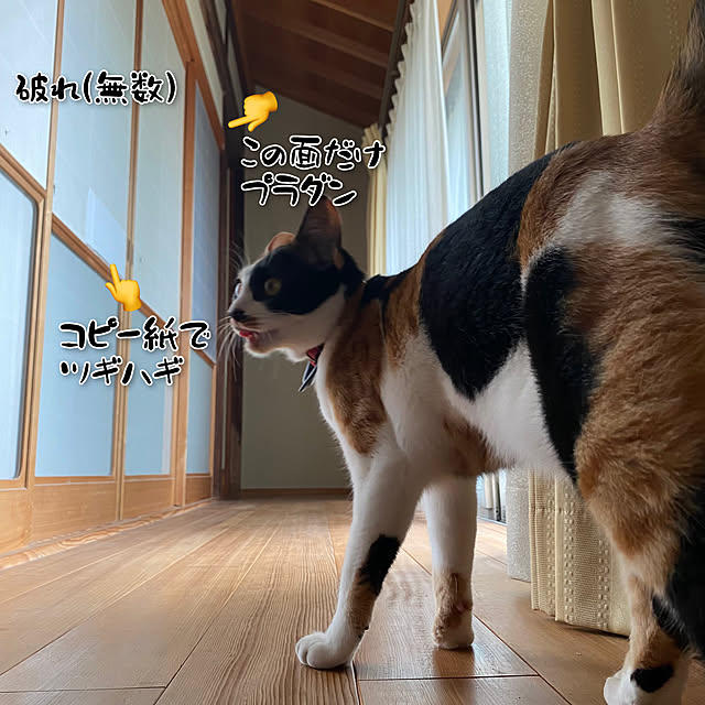 maroさんの実例写真