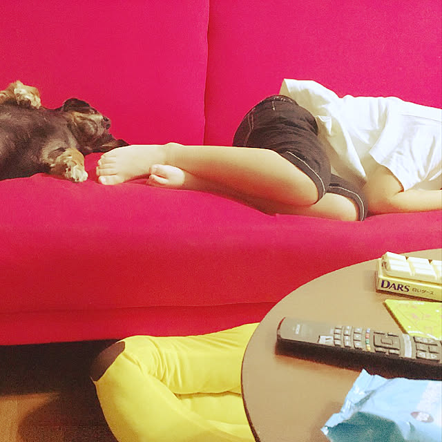 lilacさんの実例写真
