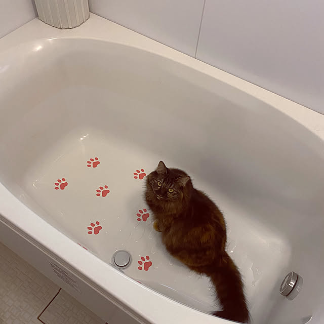 mikomaruさんの実例写真