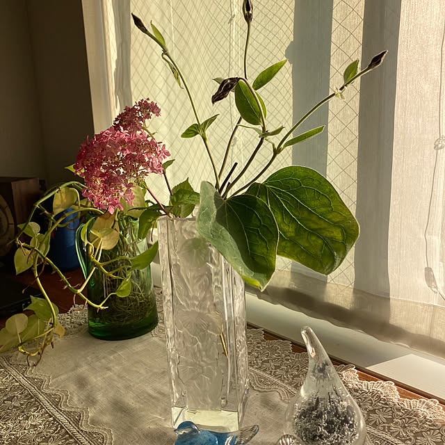 kitamitanoさんの部屋