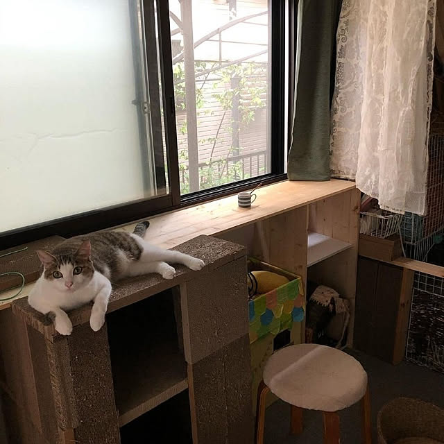 mori_6_12さんの実例写真