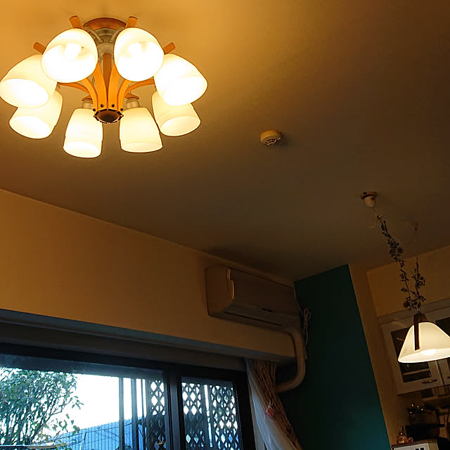 okyosan101さんの実例写真