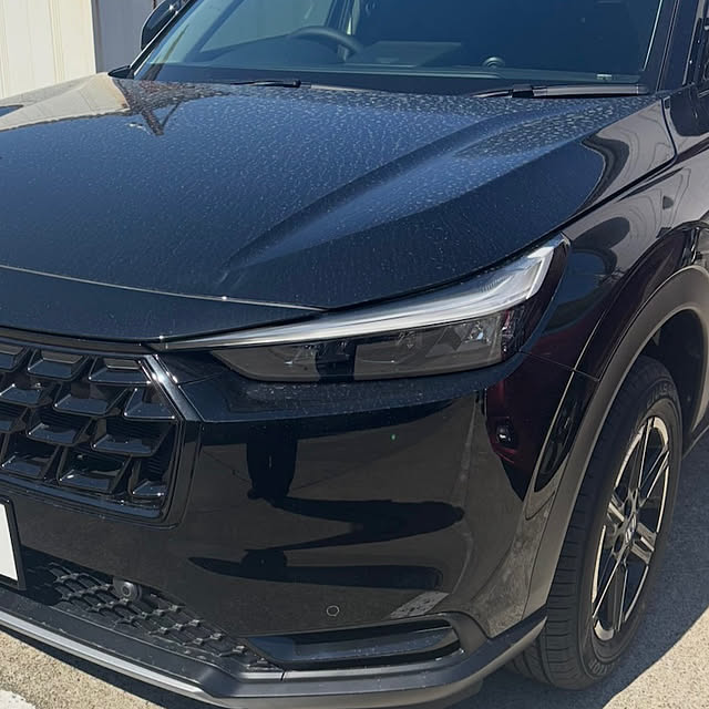 zero.efOA6CeZL1sfEeHさんの部屋