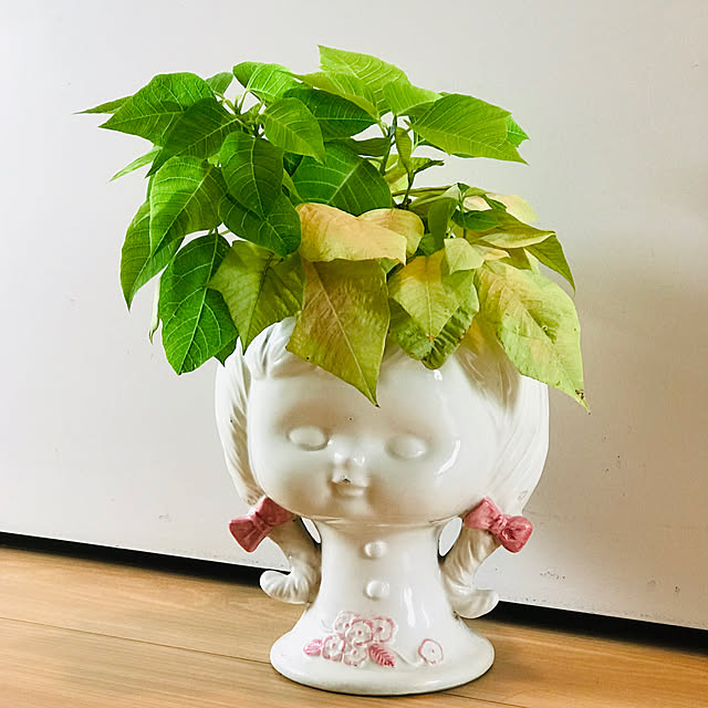fuyiqian1026さんの実例写真
