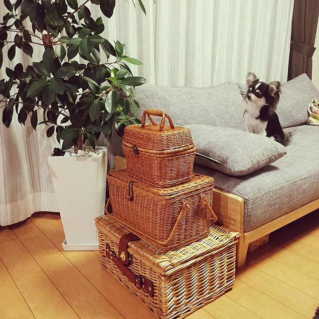 yukaringomushiさんの実例写真