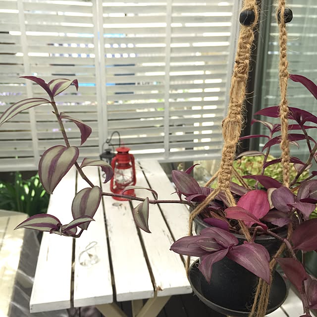 cherryさんの実例写真