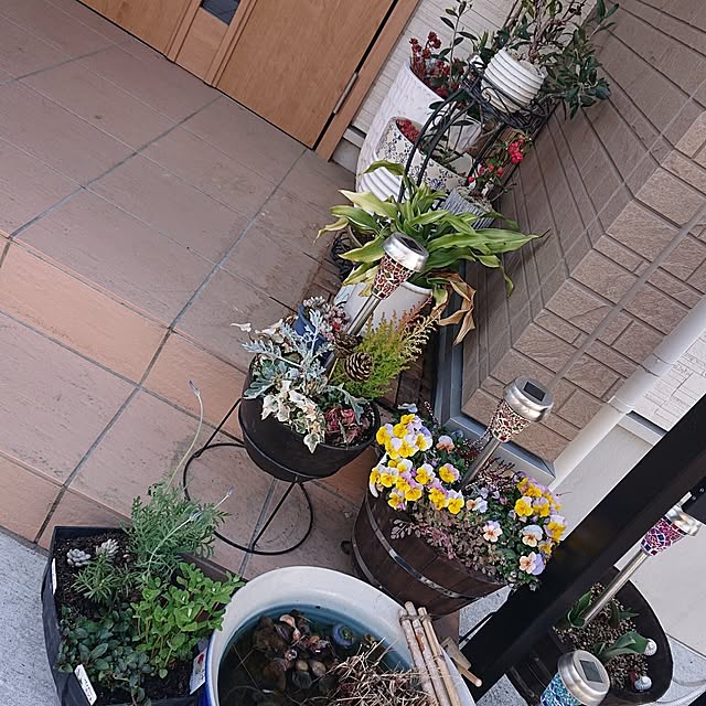 kiiroitoriさんの実例写真