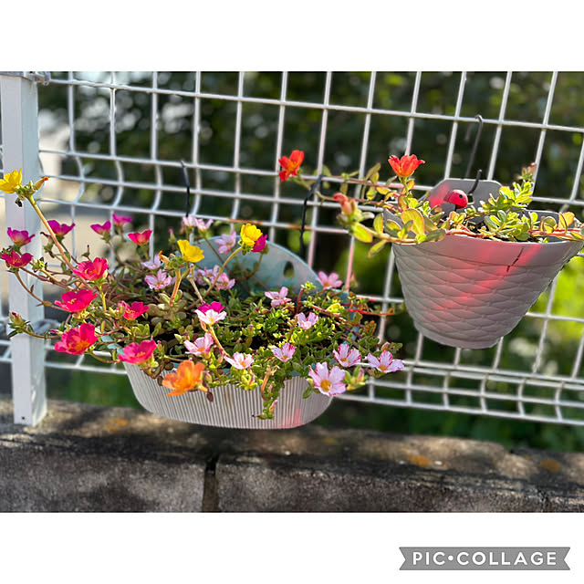 CoCo0617さんの部屋