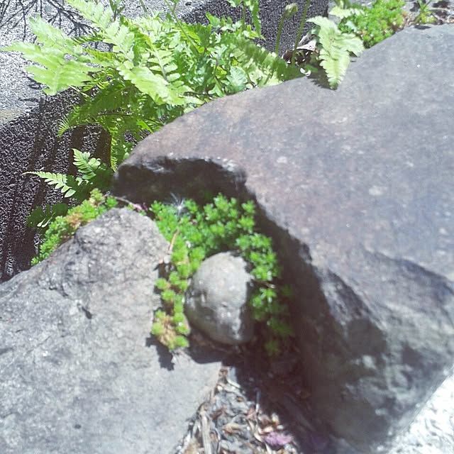 aiuekkoさんの実例写真