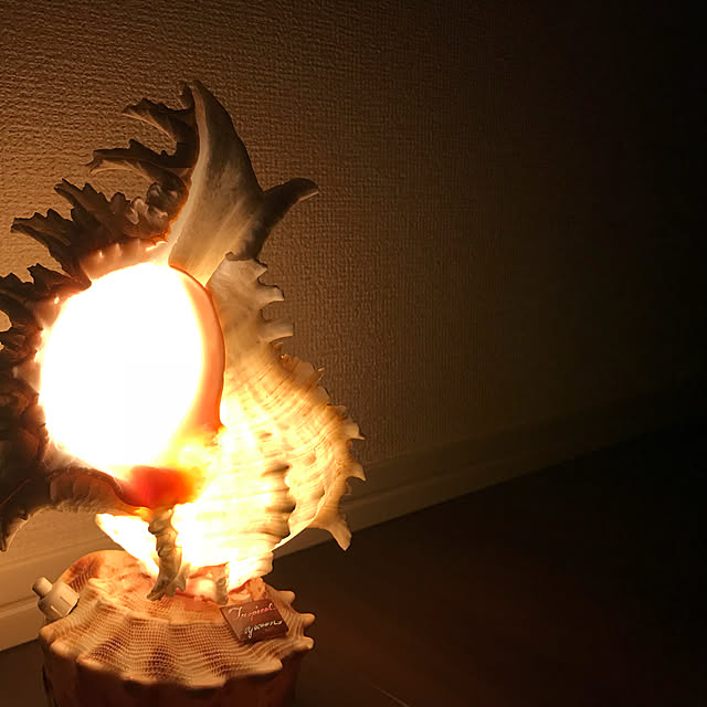 benkei.04さんの実例写真