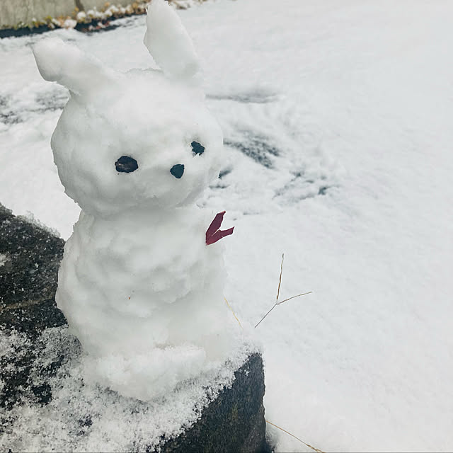 mayuさんの実例写真