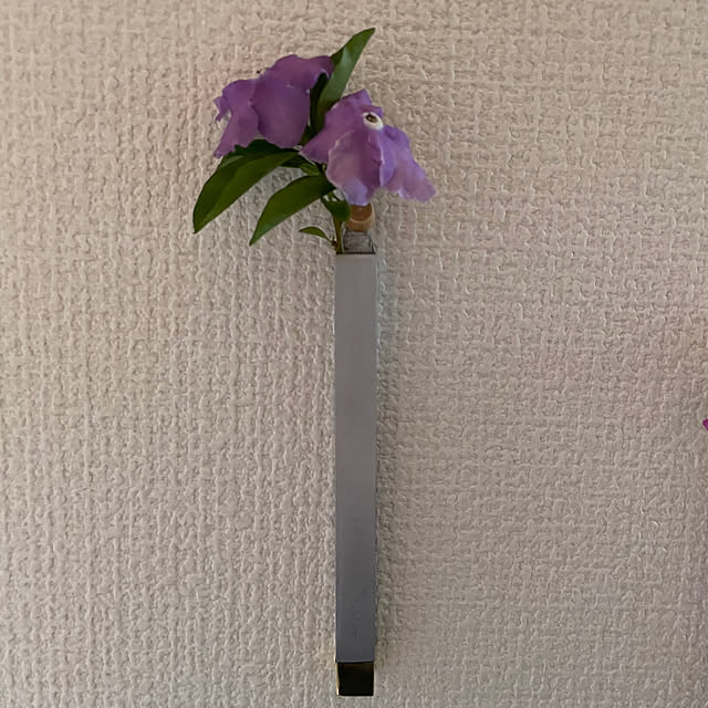 hameさんの部屋
