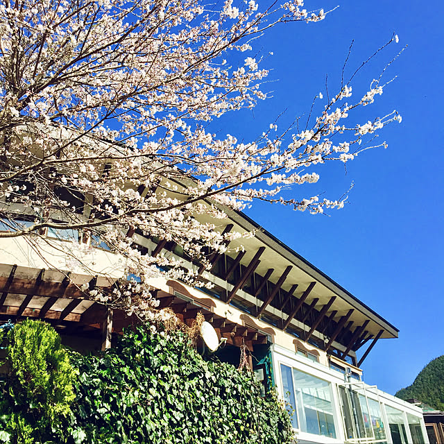 外観/花見/景色を愛でる/家の中でお花見/桜を愛でる...などのインテリア実例 - 2018-04-09 21:03:58