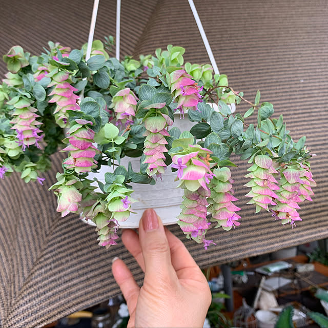 Aqettyさんの部屋