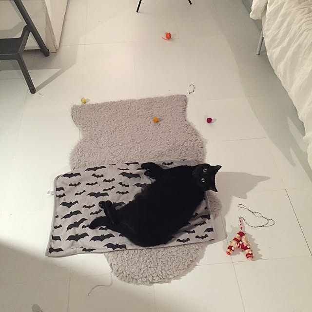 awachan77さんの実例写真