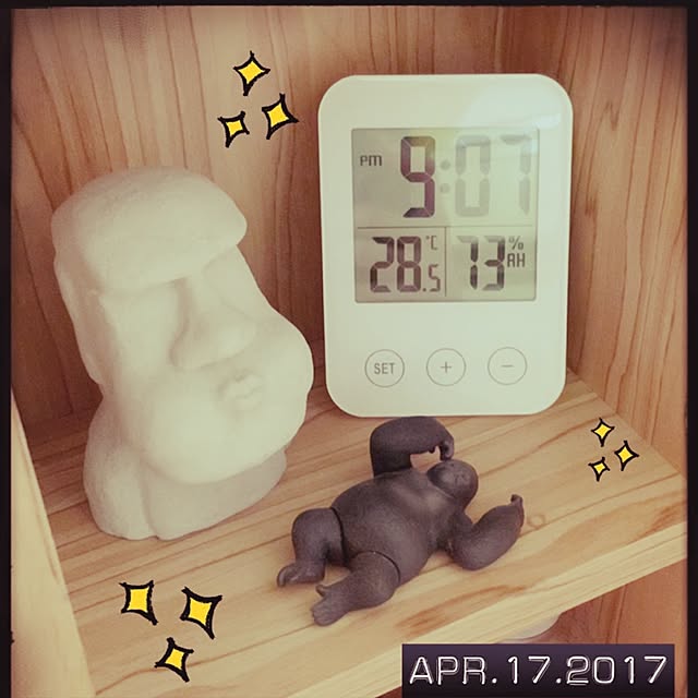 Apoさんの実例写真