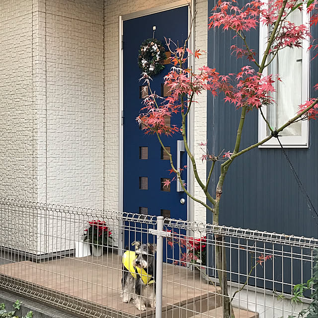 実例写真