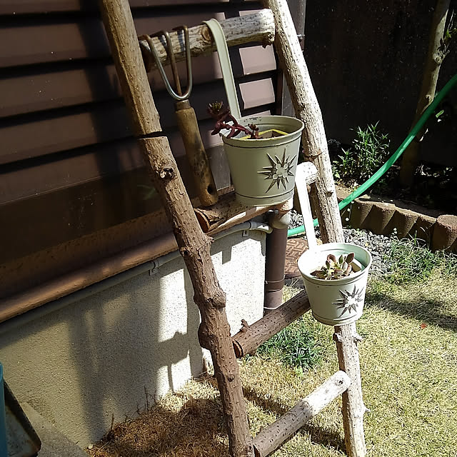 Renさんの実例写真