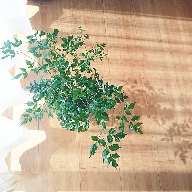 wakaba223さんの実例写真