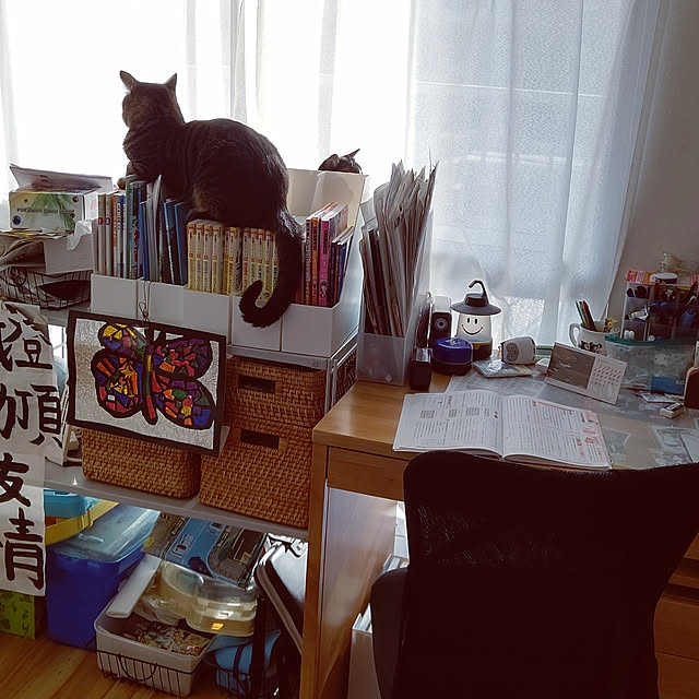 hihaさんの実例写真