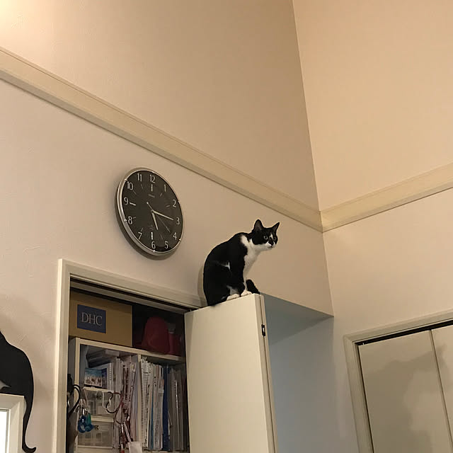 akuakuさんの実例写真