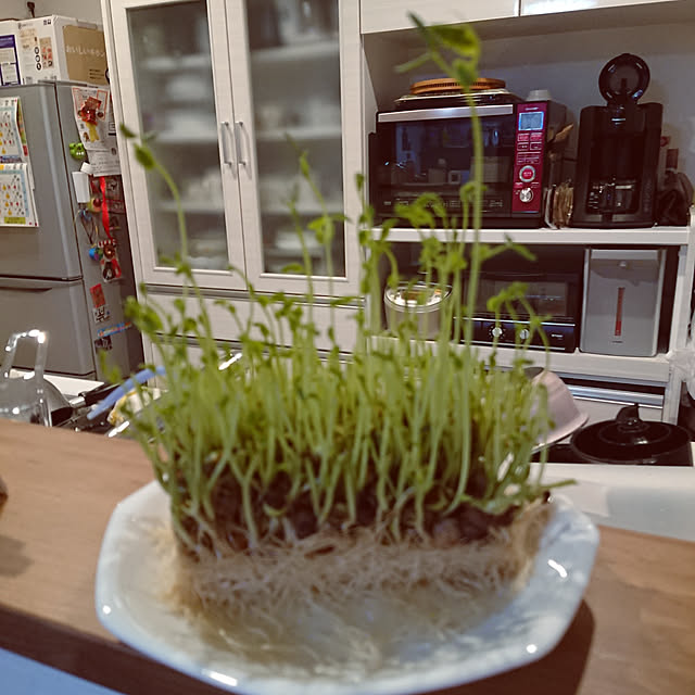 chiiさんの実例写真