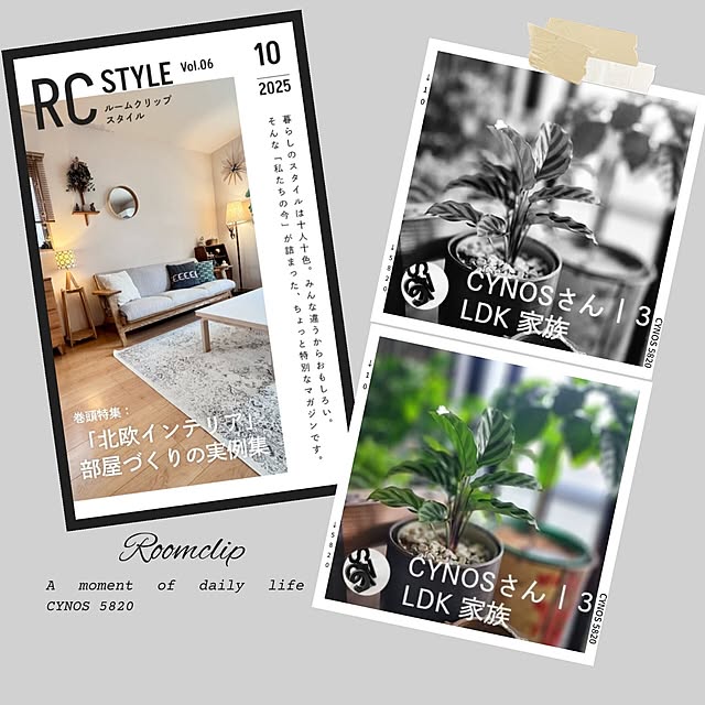 CYNOSさんの実例写真