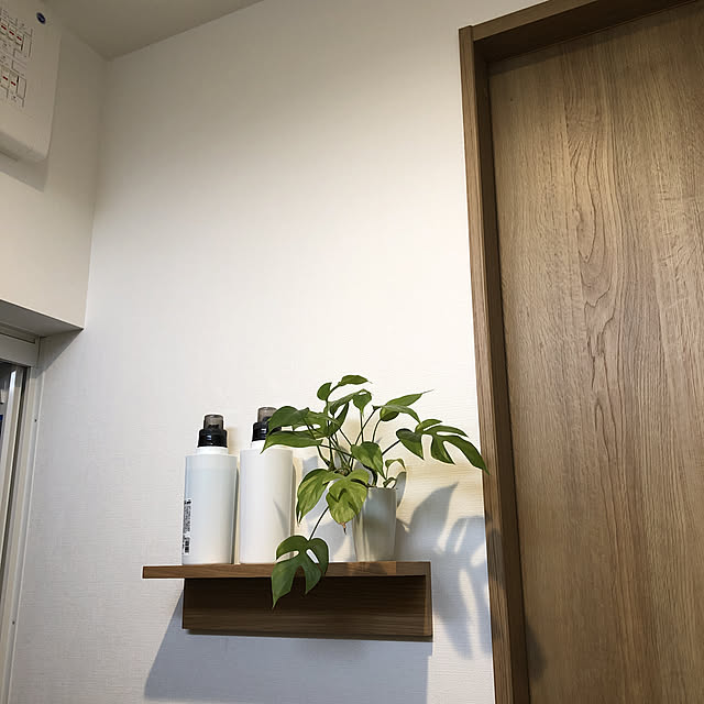 洗剤置き場/ミニモンステラ/無印良品/棚のインテリア実例 - 2019-11-11 08:27:00