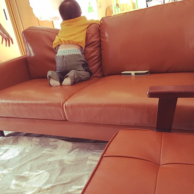 tomoyoさんの実例写真