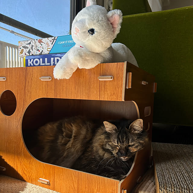 mikomaruさんの部屋