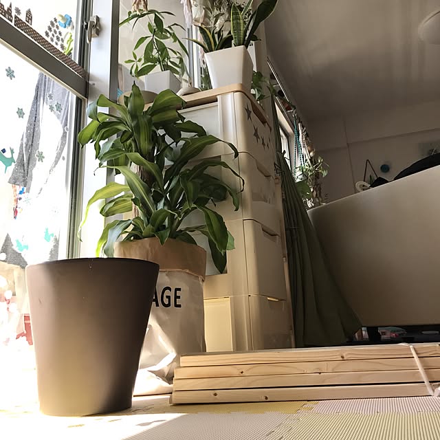 yuccoさんの実例写真