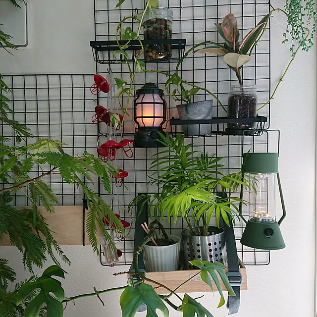 urchinさんの部屋