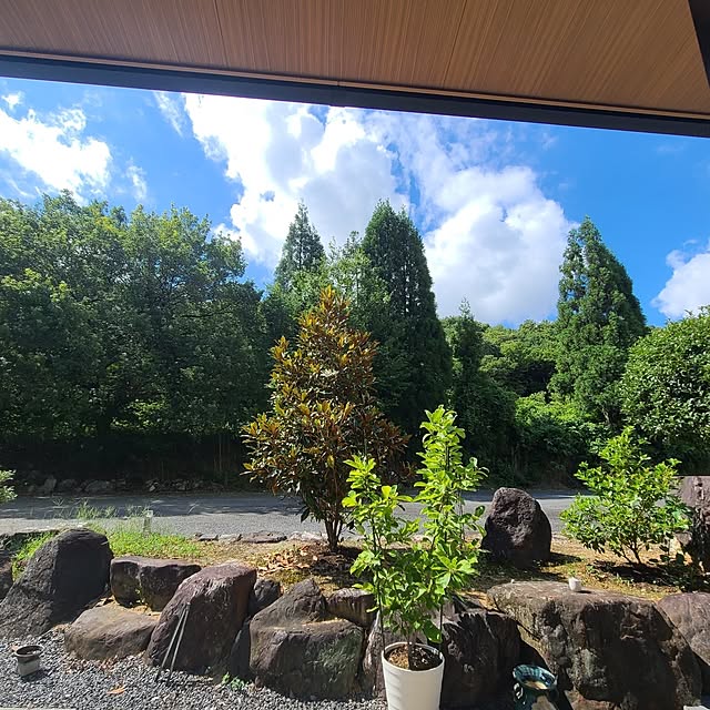 Rubiconさんの実例写真