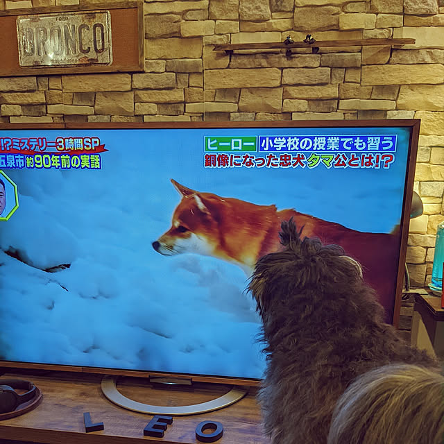 GINさんの実例写真
