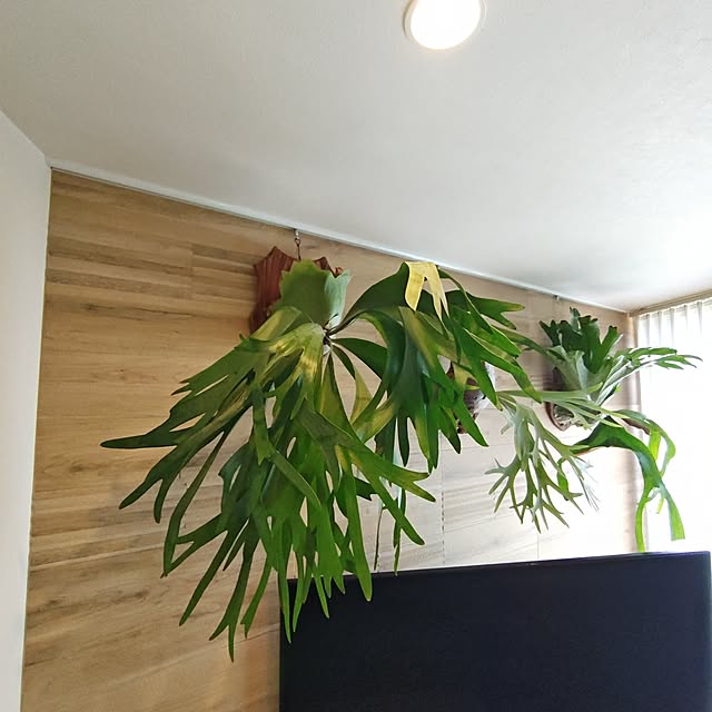 haruさんの部屋