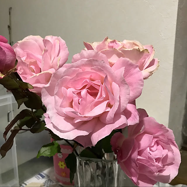 mebosoさんの実例写真