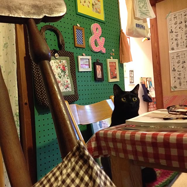 hilaさんの実例写真