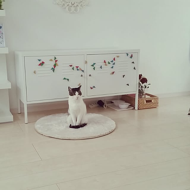 runayucoさんの実例写真