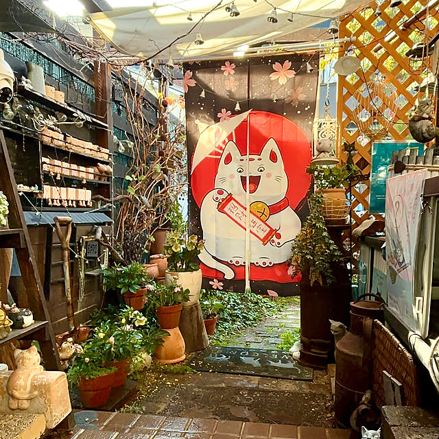 butachanさんの実例写真