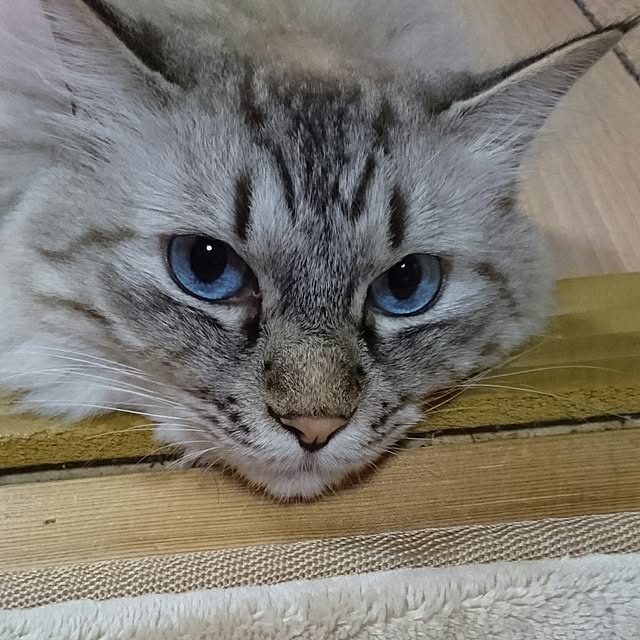 hiroさんの実例写真