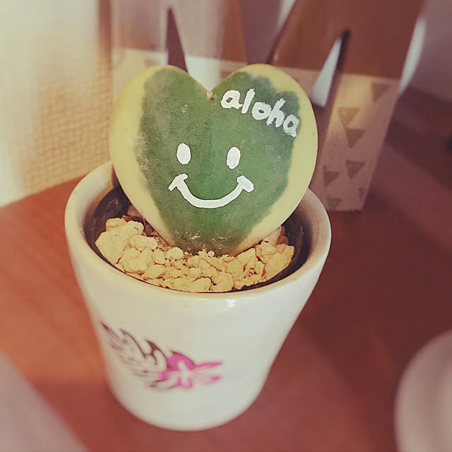 LuNahokuさんの実例写真