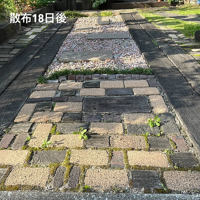 nobikoさんの実例写真