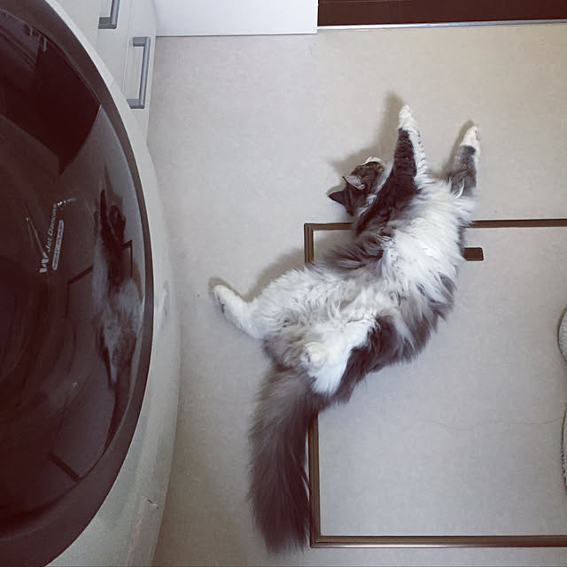 emさんの実例写真