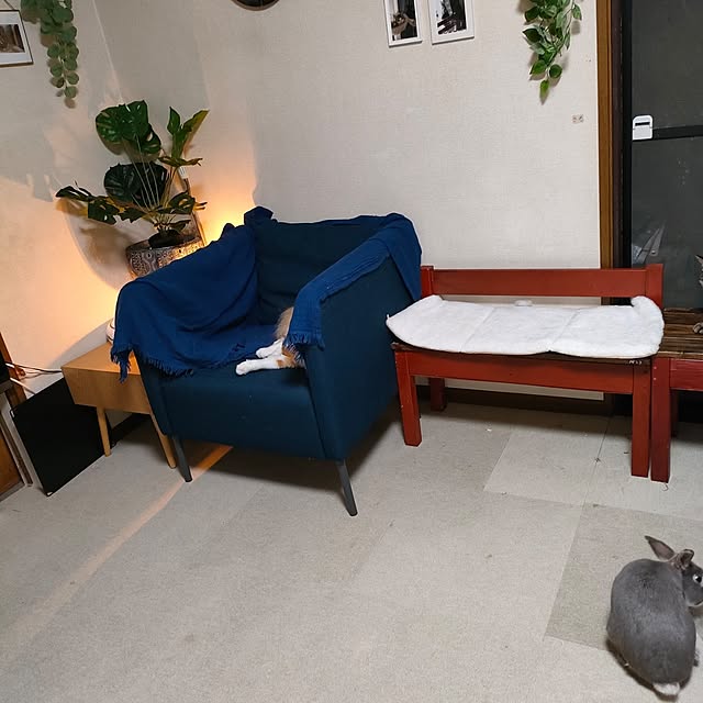 mori_6_12さんの部屋