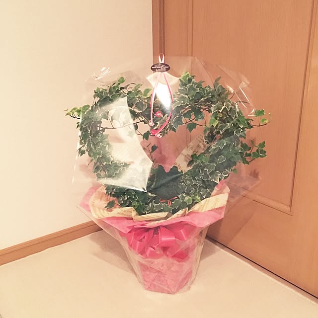 部屋全体のインテリア実例 - 2017-04-29 21:42:23