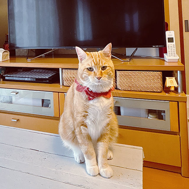 moolさんの部屋